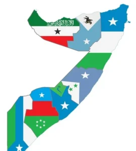 وزيرا خارجية مصر والصومال