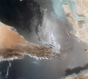 سفن مضيق هرمز - خدمات بحرية